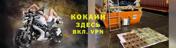 дмт Пересвет
