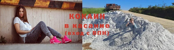 дживик Осинники
