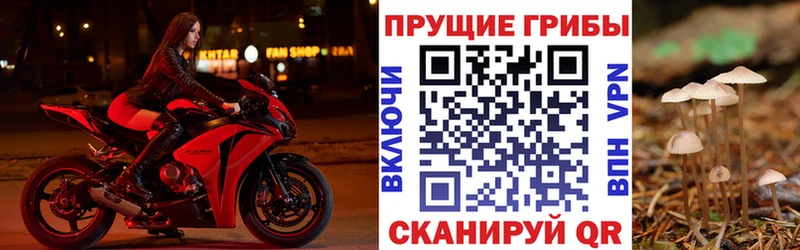Псилоцибиновые грибы мицелий  купить наркоту  МЕГА онион  Собинка 
